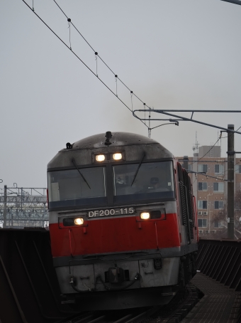 DF200-115 鉄道フォト・写真