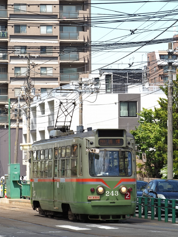 鉄道フォト・写真：札幌市交通局240形電車 243 電車事業所前停留場 鉄道フォト・写真 by ここはどこ？さん - 撮影日 2024/05/09 12:23