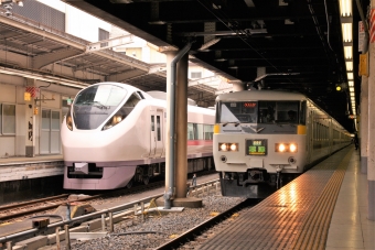 JR東日本 国鉄185系電車 鉄道フォト・写真 by もりもりさん 上野駅 (JR)：2014年02月11日12時ごろ