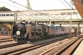 JR東日本 国鉄D51形蒸気機関車 鉄道フォト・写真 by もりもりさん 日暮里駅 (JR)：2014年03月08日13時ごろ