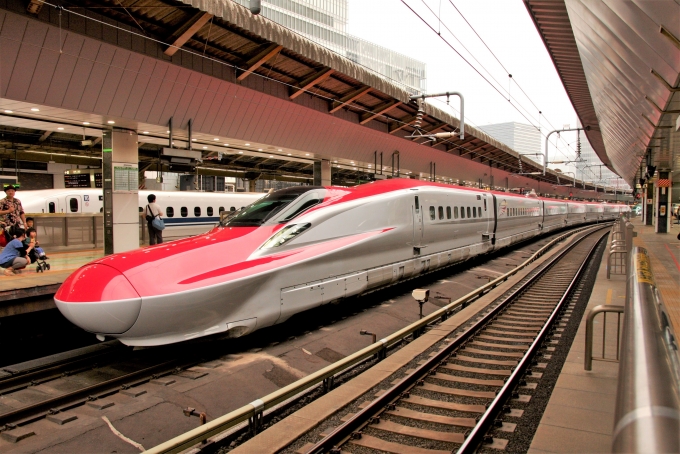JR東日本 E6系新幹線電車 鉄道フォト・写真 by もりもりさん 東京駅 (JR)：2014年05月05日17時ごろ