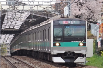 JR東日本E233系電車 鉄道フォト・写真 by もりもりさん 百合ヶ丘駅：2016年04月05日13時ごろ