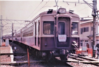 東武5700系 鉄道フォト・写真