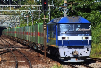 JR貨物EF210形電気機関車 鉄道フォト・写真 by もりもりさん 函南駅：2024年06月08日08時ごろ