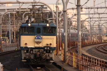 JR東日本 国鉄EF64形電気機関車 鉄道フォト・写真 by もりもりさん 赤羽駅：2014年03月12日06時ごろ