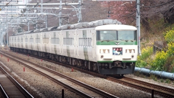 JR東日本 国鉄185系電車 鉄道フォト・写真 by もりもりさん 大井町駅 (JR)：2021年02月14日10時ごろ
