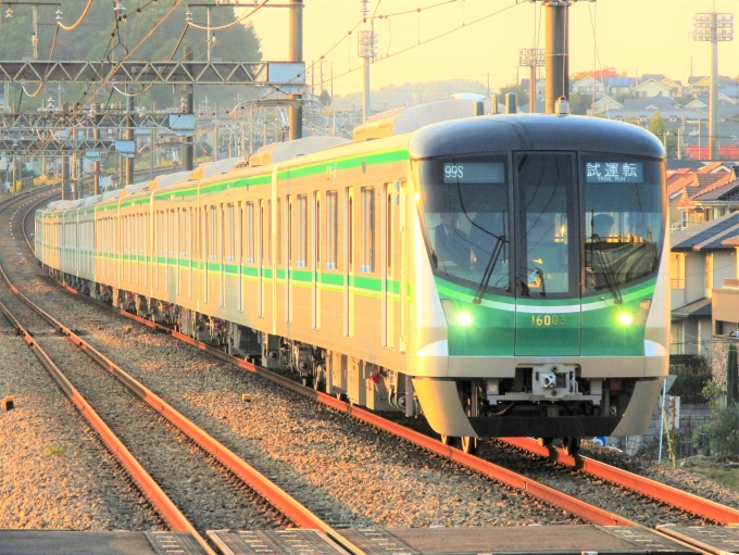 東京メトロ16000系電車 鉄道フォト・写真 by もりもりさん 栗平駅：2010年11月05日15時ごろ