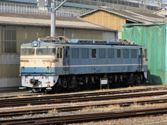 JR東日本 EF60 鉄道フォト・写真 by もりもりさん 大宮駅 (埼玉県|JR)：2011年03月06日11時ごろ