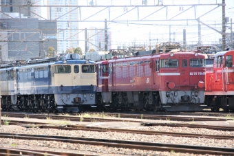 JR東日本 国鉄EF65形電気機関車 鉄道フォト・写真 by もりもりさん 田端駅：2011年09月24日11時ごろ