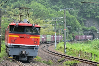 JR貨物 国鉄EF67形電気機関車 EF67-102 鉄道フォト・写真 by かず328さん ：2014年06月07日00時ごろ