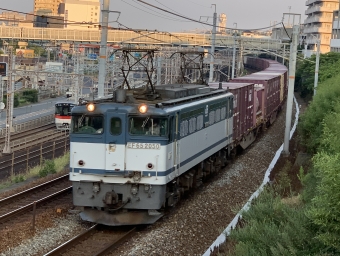 JR貨物 国鉄EF65形電気機関車 EF65-2050 鉄道フォト・写真 by 8000系さん 朝霧駅：2020年08月18日06時ごろ
