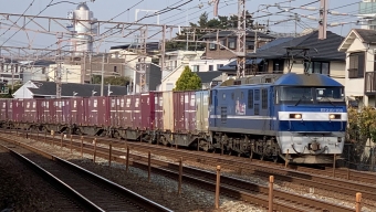 JR貨物 EF210形 EF210-109 鉄道フォト・写真 by 8000系さん 大蔵谷駅：2020年12月12日10時ごろ