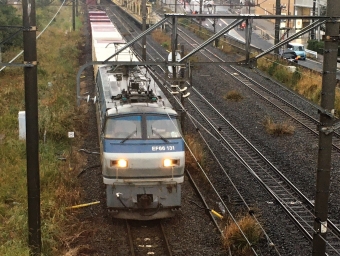 JR貨物 国鉄EF66形電気機関車 鉄道フォト・写真 by ゆっくりボムさん ：2019年11月23日15時ごろ