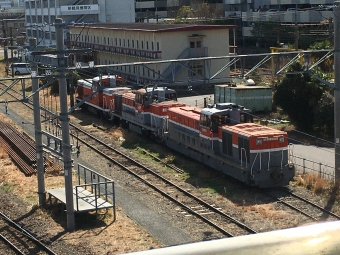 JR貨物 国鉄DE11形ディーゼル機関車 鉄道フォト・写真 by ゆっくりボムさん ：2021年02月23日12時ごろ