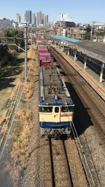 JR貨物 国鉄EF65形電気機関車 鉄道フォト・写真 by ゆっくりボムさん ：2021年02月23日13時ごろ