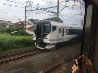 JR東日本E257系電車 クハE257形(Tc) 鉄道フォト・写真 by ゆっくりボムさん ：2022年07月21日06時ごろ