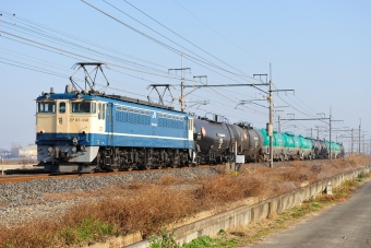JR貨物 国鉄EF65形電気機関車 EF65-1041 鉄道フォト・写真 by ポン太さん ：2008年12月21日09時ごろ