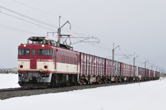 JR貨物 国鉄ED75形電気機関車 ED75-1009 鉄道フォト・写真 by ポン太さん ：2008年03月05日12時ごろ