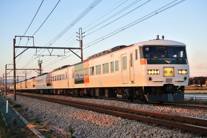 JR東日本 クハ185形 クハ185-5 鉄道フォト・写真 by ポン太さん ：2010年12月09日07時ごろ