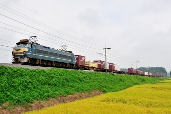 JR貨物 国鉄EF66形電気機関車 EF66-27 鉄道フォト・写真 by ポン太さん ：2010年09月01日09時ごろ
