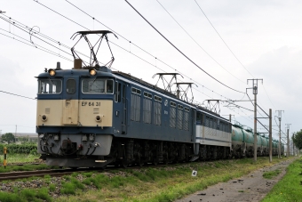 JR貨物 国鉄EF64形電気機関車 EF64 31 鉄道フォト・写真 by ポン太さん ：2008年07月10日11時ごろ