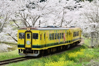 いすみ鉄道 イメージ写真