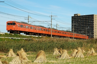 クハ103-294 鉄道フォト・写真
