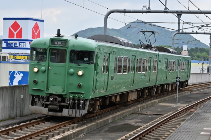 国鉄 113系 電車 JR 鉄道 | www.gamutgallerympls.com