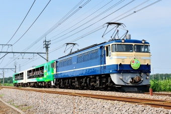 JR東日本 国鉄EF65形電気機関車 風っこわたらせ EF65-501 鉄道フォト・写真 by ポン太さん 井野駅 (群馬県)：2010年08月28日09時ごろ