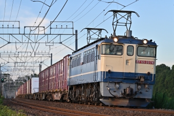 JR貨物 国鉄EF65形電気機関車 EF65-2074 鉄道フォト・写真 by ポン太さん 物井駅：2022年07月29日18時ごろ