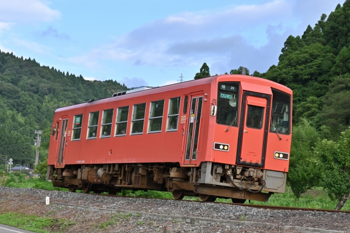JR西日本 キハ120形 キハ120-205 鉄道フォト・写真 by ポン太さん 一乗谷駅：2022年07月23日17時ごろ