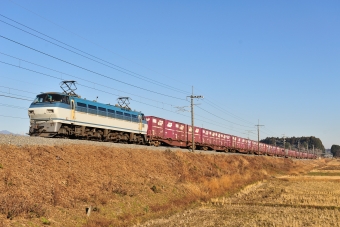 JR貨物 EF66 116 鉄道フォト・写真 by ポン太さん 蒲須坂駅：2010年12月19日09時ごろ
