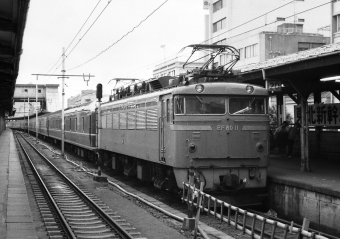 国鉄EF80形電気機関車 十和田(急行) EF80 11 鉄道フォト・写真 by ポン太さん 上野駅 (JR)：1978年09月12日00時ごろ