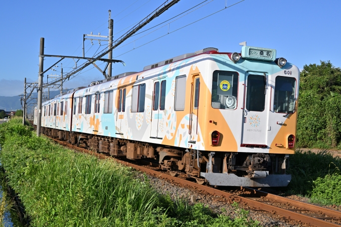 養老鉄道 600系 601 友江駅 鉄道フォト・写真 by ポン太さん
