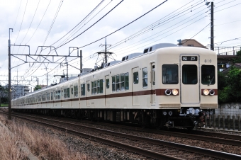 新京成800形 鉄道フォト・写真
