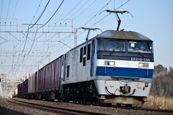 JR貨物 EF210形 EF210-155 鉄道フォト・写真 by ポン太さん 物井駅：2024年01月31日14時ごろ