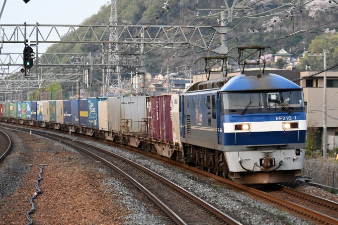 JR貨物 EF210形 EF210-1 鉄道フォト・写真 by ポン太さん 島本駅：2024年04月07日06時ごろ