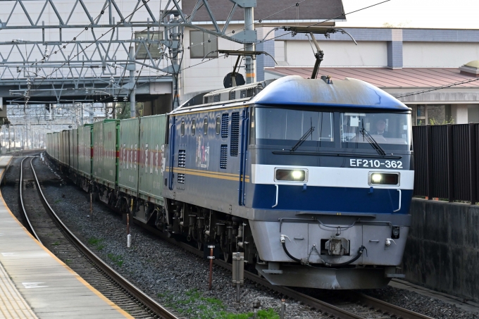 JR貨物 EF210形 EF210-362 鉄道フォト・写真 by ポン太さん 島本駅：2024年04月07日06時ごろ