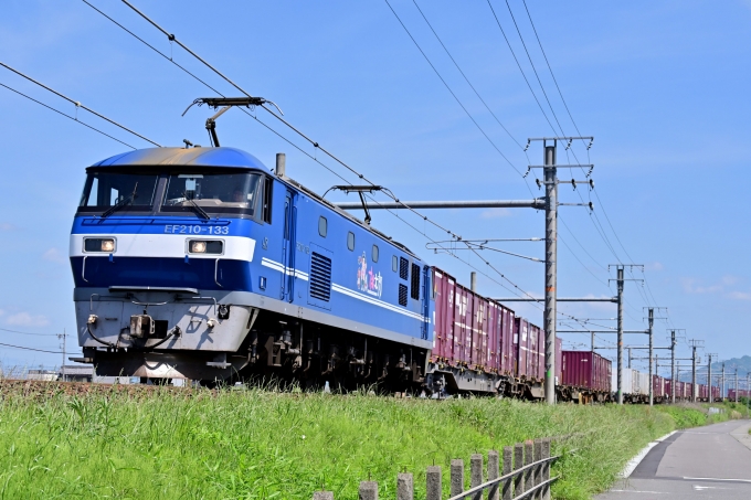 JR貨物 EF210形 EF210-133 鉄道フォト・写真 by ポン太さん 木曽川駅：2024年05月11日09時ごろ