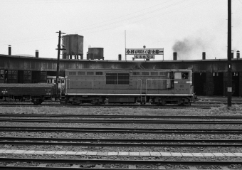 国鉄DD14形ディーゼル機関車 DD14-302 鉄道フォト・写真 by ポン太さん 名寄駅：1973年08月03日00時ごろ