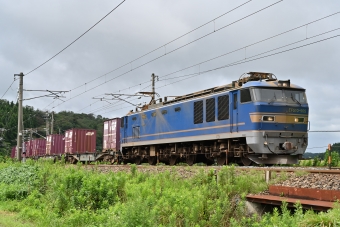 JR貨物 EF510形 EF510-505 鉄道フォト・写真 by ポン太さん 牛ノ谷駅：2022年07月23日10時ごろ