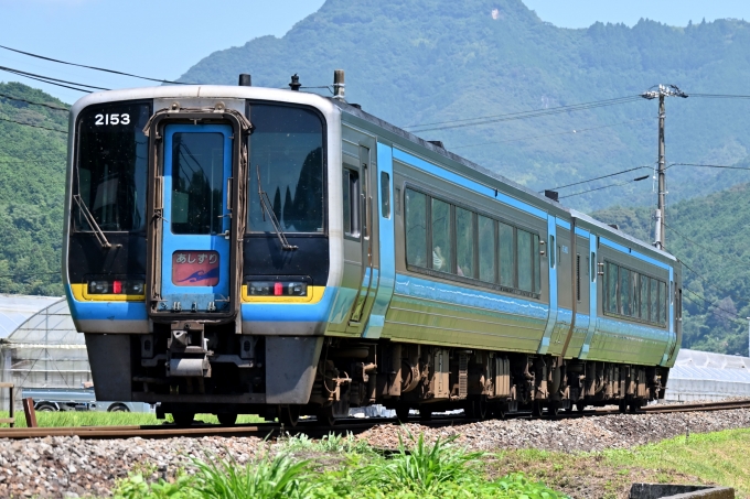 鉄道フォト・写真：JR四国2000系気動車 あしずり(特急)6号 2153 吾桑駅 鉄道フォト・写真 by ポン太さん - 撮影日 2024/07/06 10:31