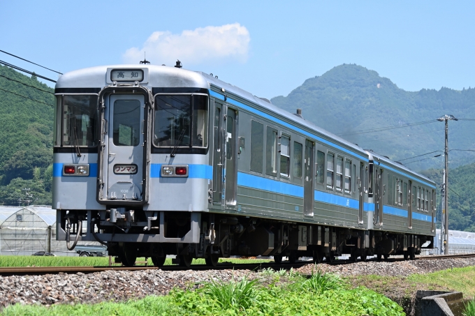 鉄道フォト・写真：JR四国1000形気動車 1036 吾桑駅 鉄道フォト・写真 by ポン太さん - 撮影日 2024/07/06 10:40