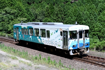 土佐くろしお鉄道 TKT-8000形 TKT-8011 鉄道フォト・写真 by ポン太さん ：2024年07月06日14時ごろ