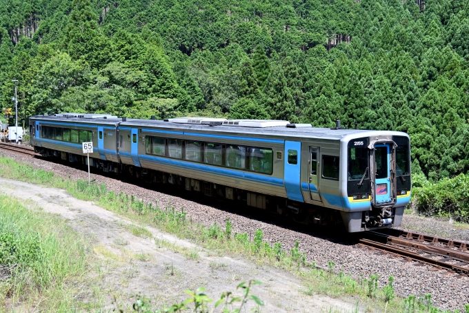 鉄道フォト・写真：JR四国2000系気動車 あしずり(特急)10号 2155 川奥信号所 鉄道フォト・写真 by ポン太さん - 撮影日 2024/07/06 13:45