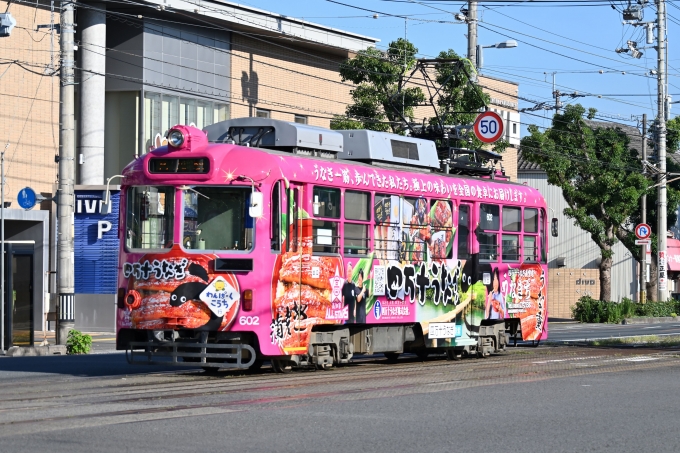 鉄道フォト・写真：とさでん交通 600形 602 桟橋車庫前停留場 鉄道フォト・写真 by ポン太さん - 撮影日 2024/07/07 07:03