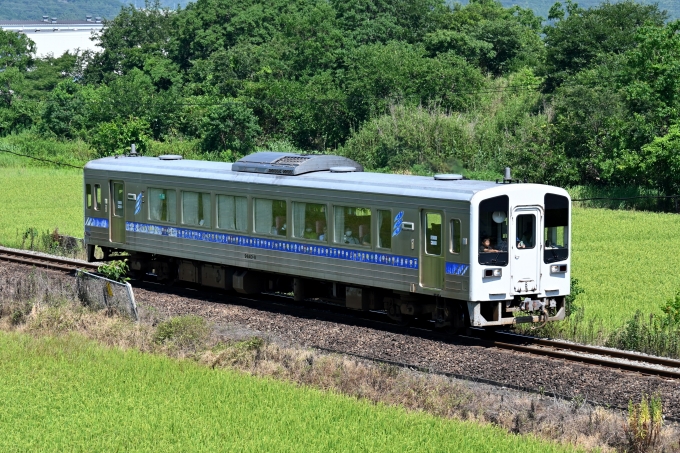 鉄道フォト・写真：土佐くろしお鉄道9640形気動車 9640-8 土佐大津駅 鉄道フォト・写真 by ポン太さん - 撮影日 2024/07/07 09:38