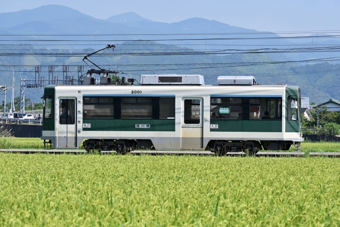 鉄道フォト・写真：とさでん交通 土佐電気鉄道2000形電車 2001 小篭通停留場 鉄道フォト・写真 by ポン太さん - 撮影日 2024/07/07 09:10