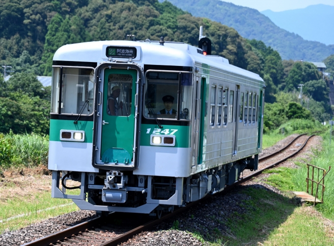 鉄道フォト・写真：JR四国1200形気動車 1247 阿波海南駅 鉄道フォト・写真 by ポン太さん - 撮影日 2024/07/07 13:43