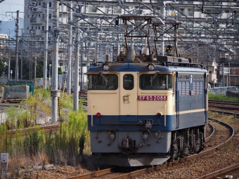 JR貨物 国鉄EF65形電気機関車 EF65 2088 鉄道フォト・写真 by ごくさん 岸辺駅：2021年09月30日09時ごろ